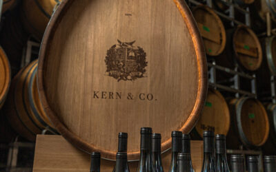 Our Online Store Is Taking a Short Pause – Big News Ahead